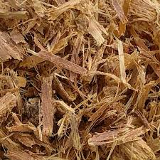 Cat's Claw Bark (Bulk)